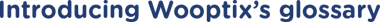 Introducing Wooptix’s glossary